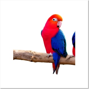 Cute lovebird Posters and Art